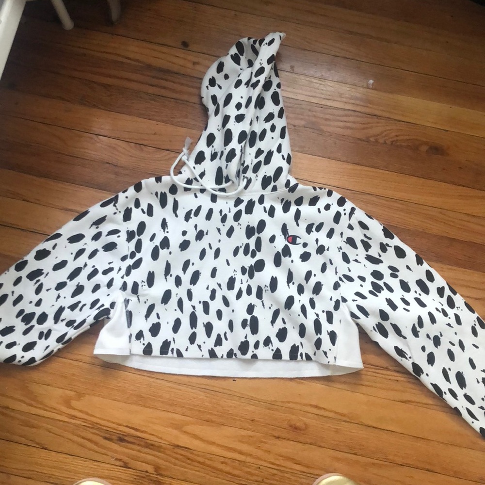 Champion hoodie